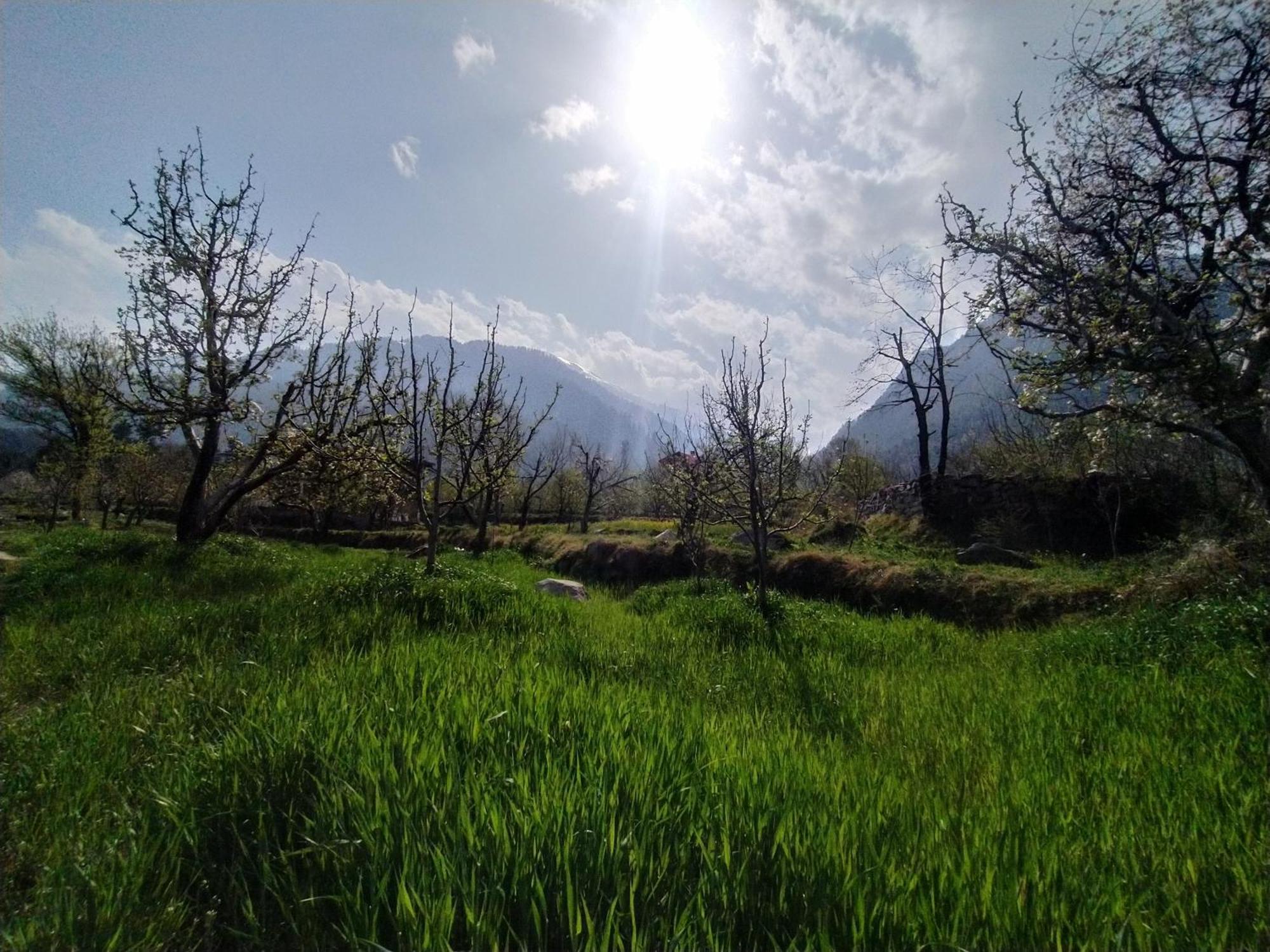 Farm Hostel & Camps - Manali (Himachal Pradesh), Manali
