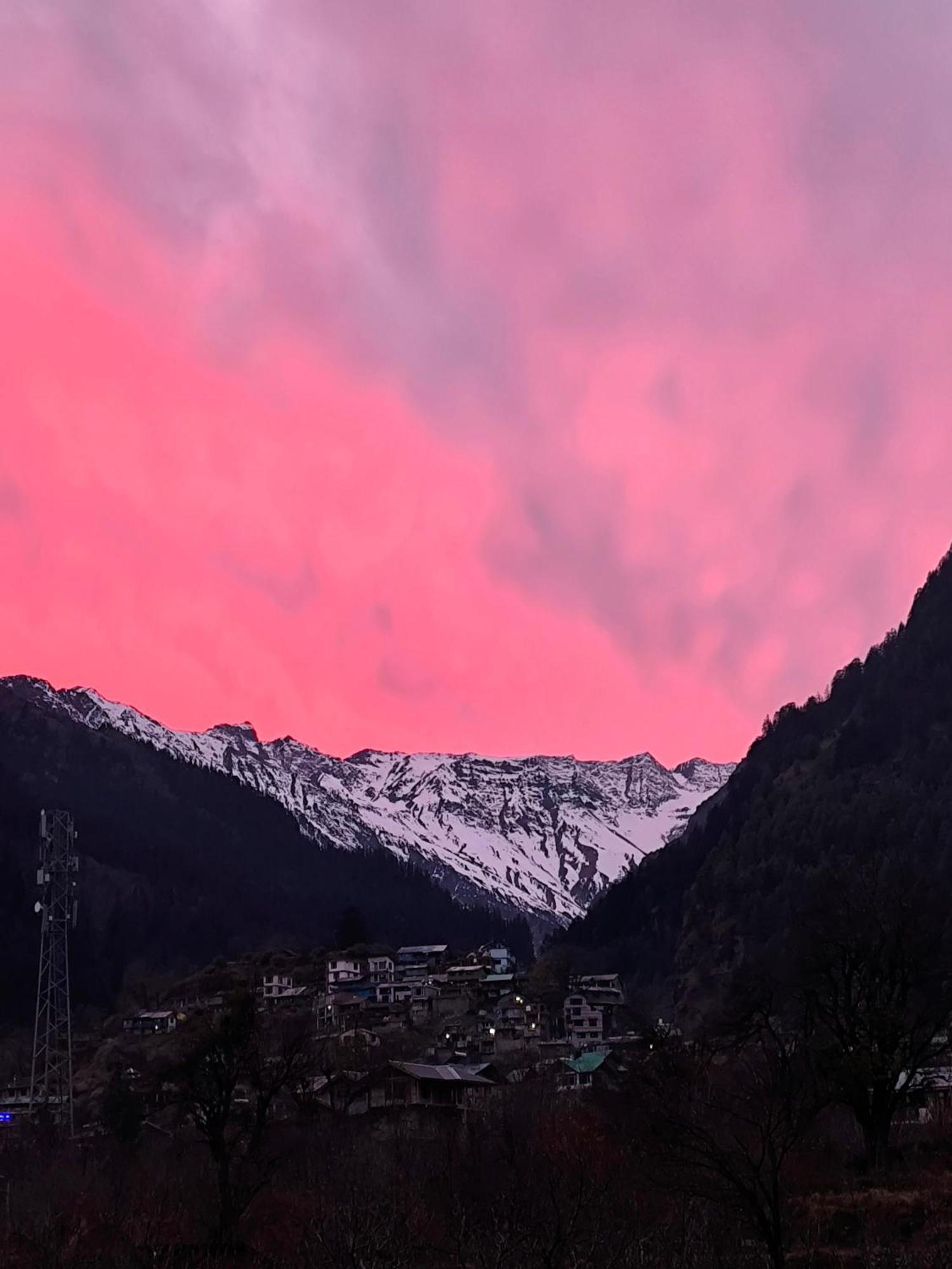 Farm Hostel & Camps - Manali (Himachal Pradesh) — Photos 2